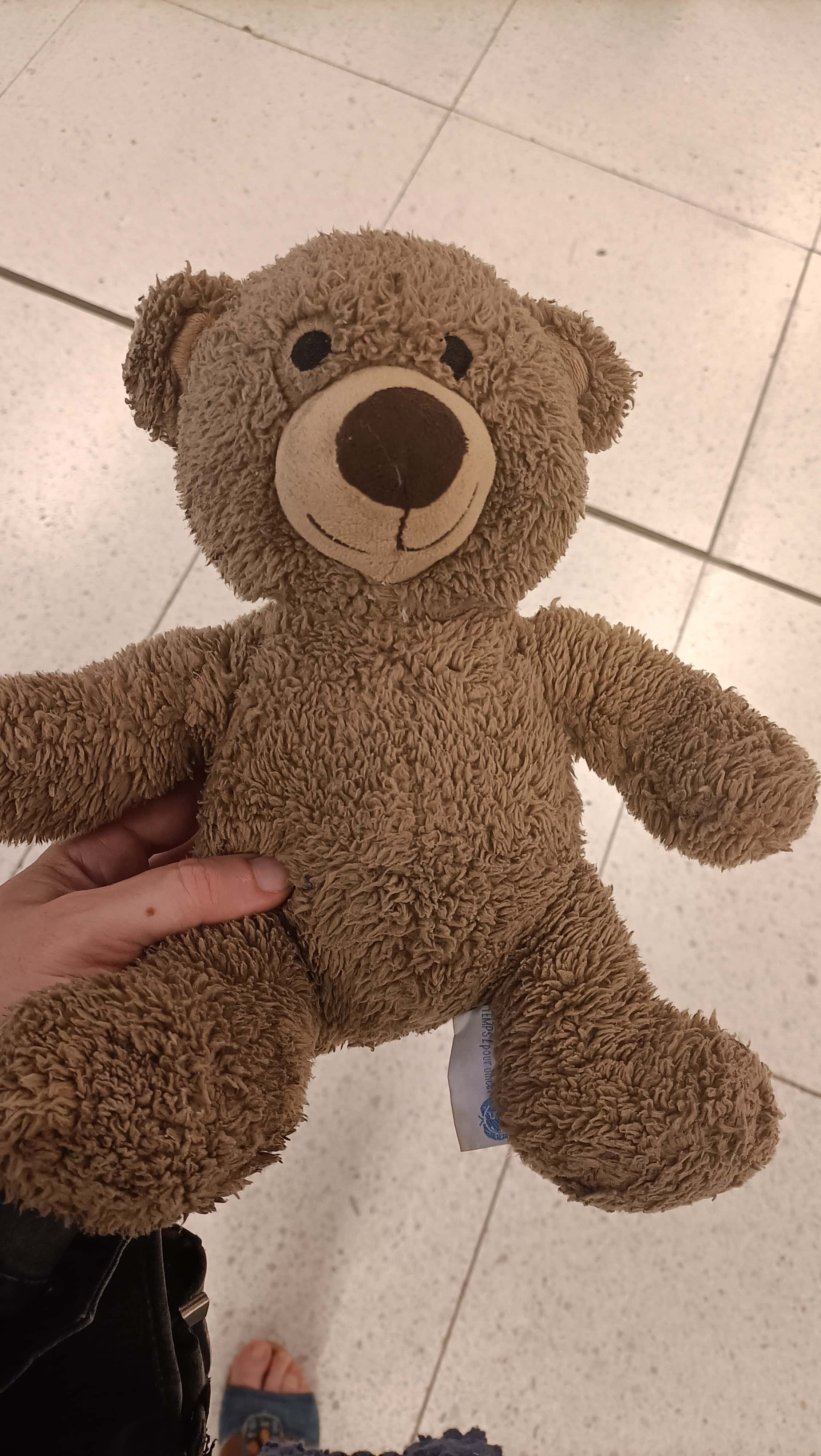 doudou ours trouvé