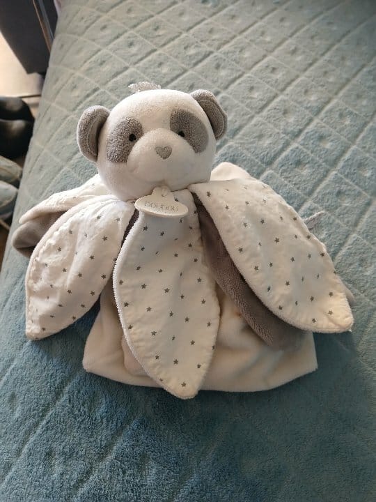 panda blanche et gris