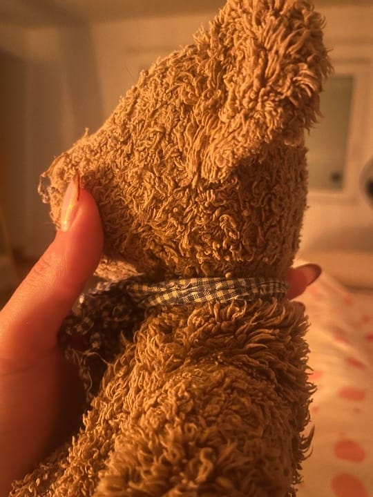 À la recherche de mon doudou denfance