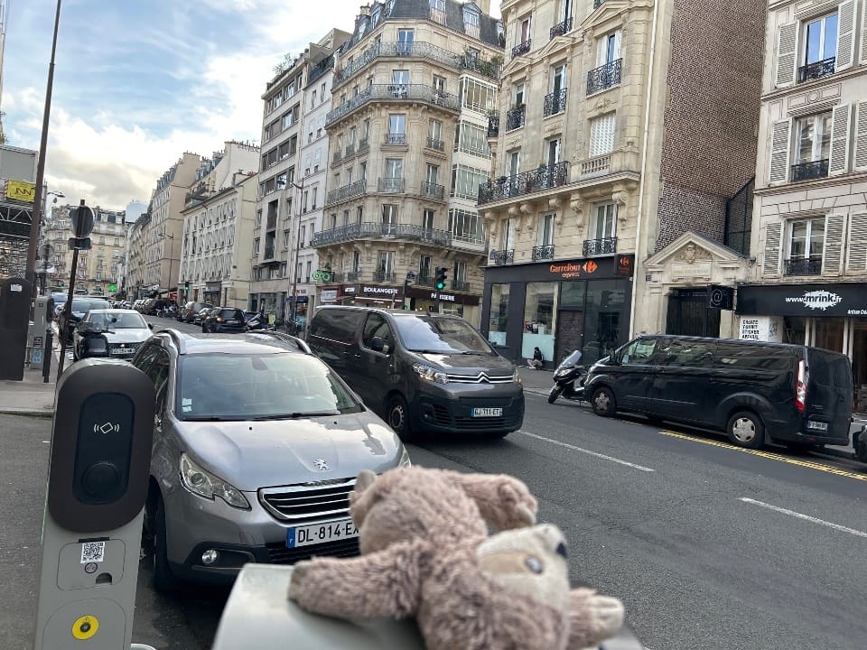 jussieu dodo trouve