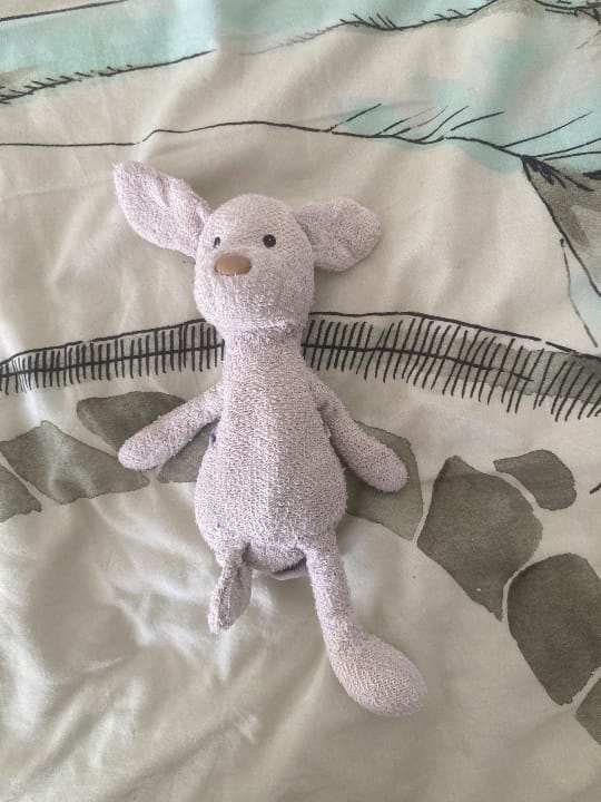Doudou chien gris