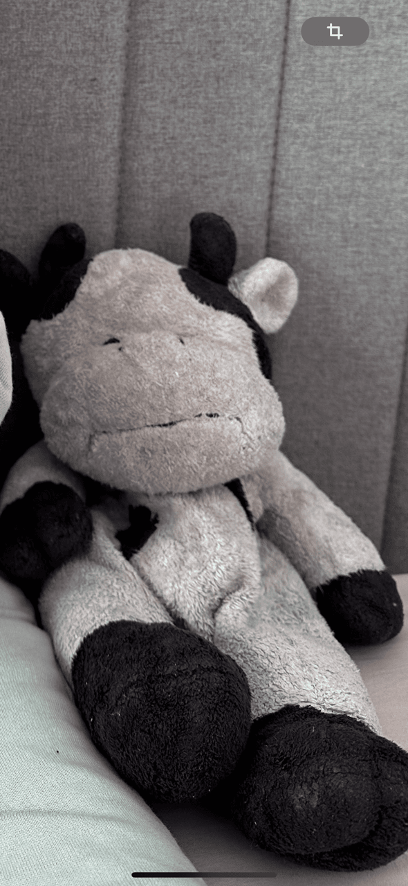 Doudou vache