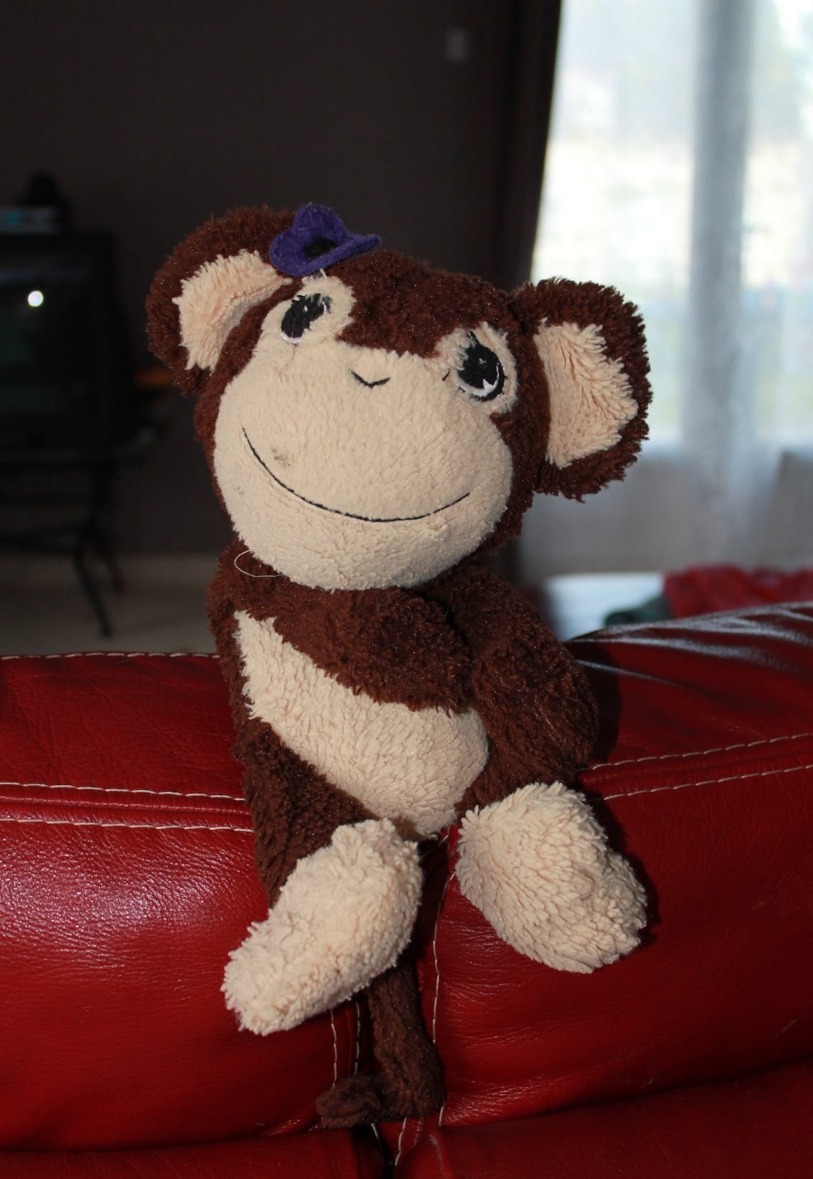 Sos doudou singe/bouillotte perdu