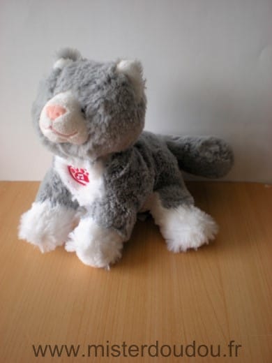Chat Blanc gris Gipsy