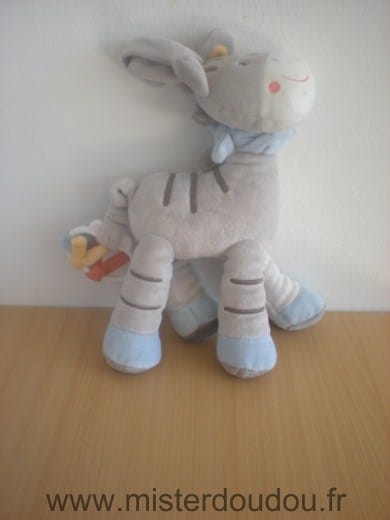 Ane Gris bleu Nicotoy