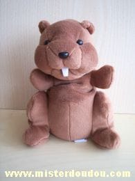 Castor Marron Evian