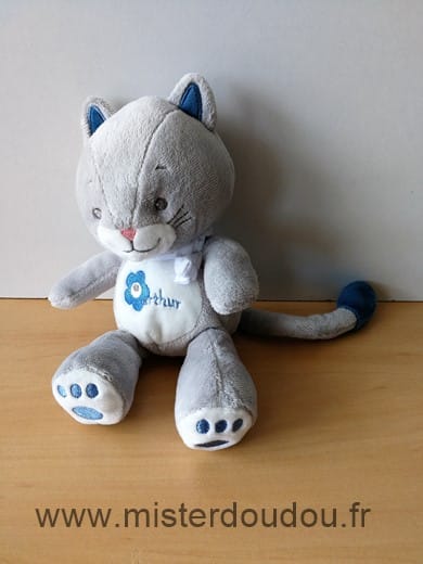 Chat Gris bleu blanc Arthur et lola