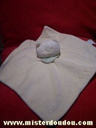 Chat Jaune foulard vert Bengy