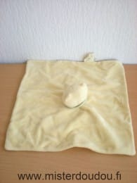 Chat Jaune foulard vert patou Bengy