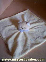 Chat Jaune foulard violet Bengy