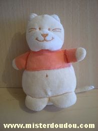 Chat Jaune orange Bengy