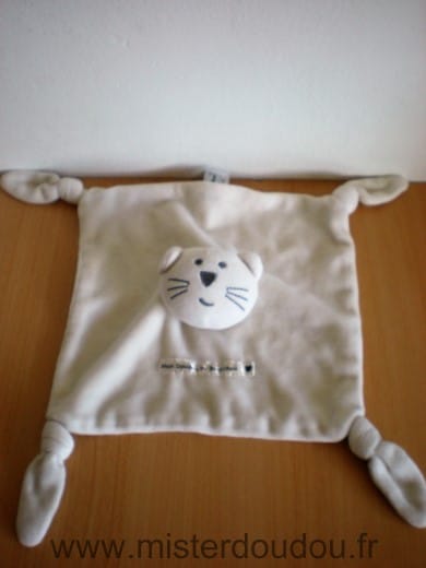 Chat Blanc Bout chou