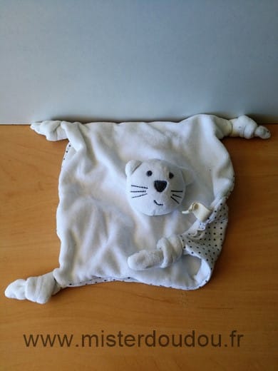 Chat Blanc etoiles Bout chou