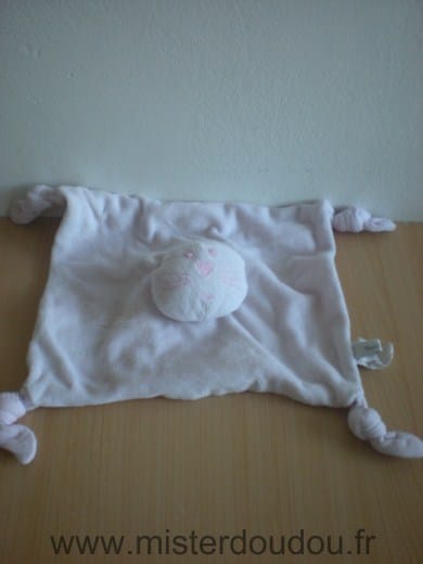 Chat Rose Bout chou