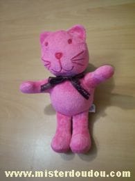 Chat Rose Ciad