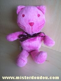 Chat Rose fushia Ciad