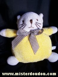 Chat Jaune Cp international