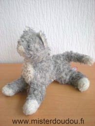 Chat Gris blanc Douglas