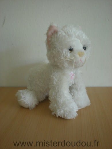 Chat Blanc Gipsy
