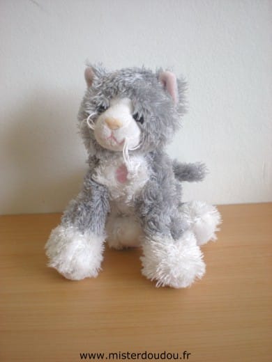 Chat Gris blanc Gipsy