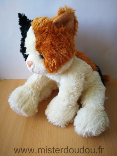 Chat Beige marron noir Lgri