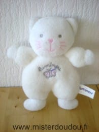 Chat Blanc Luminou
