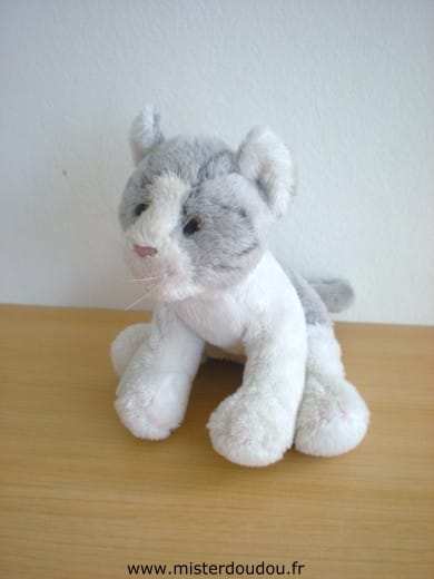 Chat Molly gris blanc Russ