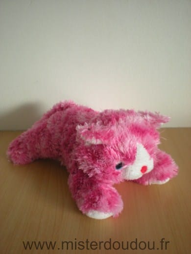 Chat Rose fishia Sandy