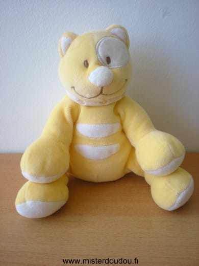 Chat Jaune blanc cocard blanc Tex