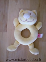 Chat Jaune coccard blanc Tex