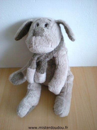 Chien Marron Afibel