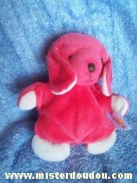 Chien Rouge Baby sun
