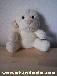 Chien Ecru Bébisol