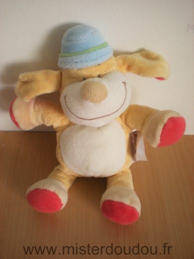 Chien Jaune blanc chapeau bleu Bengy