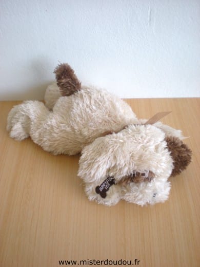 Chien Beige marron Cobico
