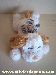 Chien Ecru marron Cobico