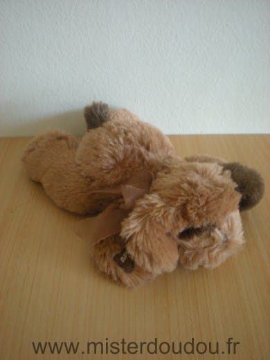 Chien Marron Cobico