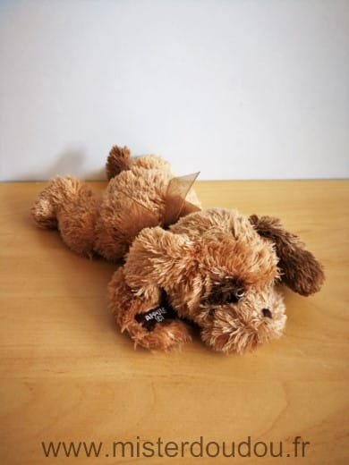 Chien Marron Cobico