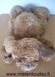 Chien Marron, marron foncé Cobico