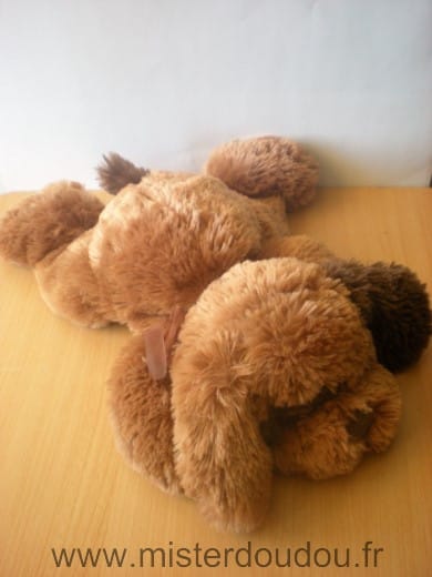 Chien Marron ruban Cobico