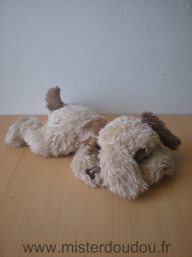 Chien Marron ruban soie marron Cobico