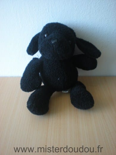 Chien Noir Cp international