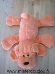 Chien Orange Credit agricole