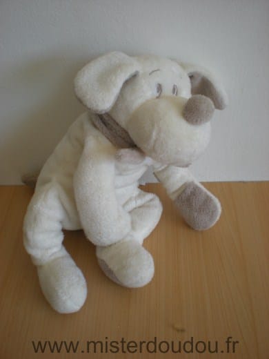 Chien Fifi ecru echarpe beige Dimpel