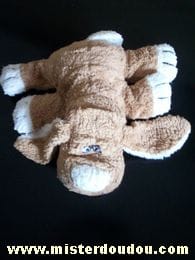 Chien Marron Dupuis