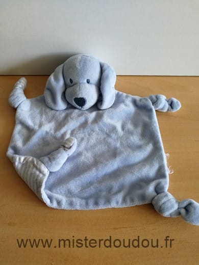 Chien Bleu blanc rayures Early days