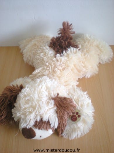 Chien Beige marron Gipsy