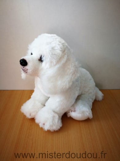 Chien Blanc Gipsy