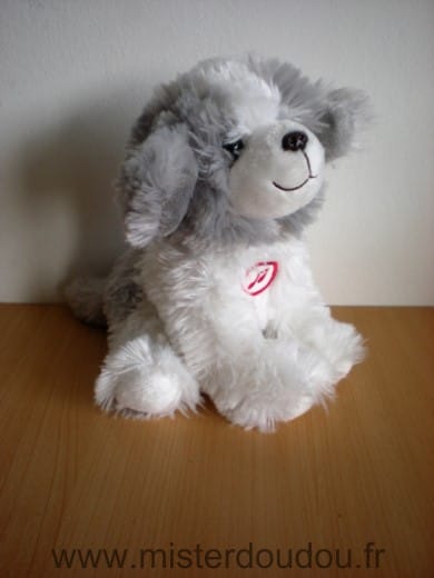 Chien Blanc gris aboie Gipsy