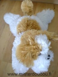 Chien Blanc marron Gipsy